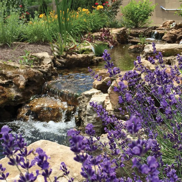 Atlantic Water Gardens - BF1600 - 16in FILTERFALLS - 73934-5