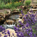 Atlantic Water Gardens - BF1600 - 16in FILTERFALLS - 73934-5