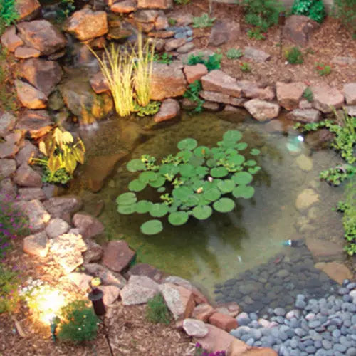 Savio - PP550 - Savio Engineering Pond Packages - Pond Package 550 Gallon-3